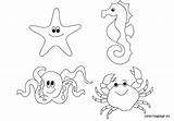 Coloring Sea Animals Pages Ocean Creatures Life Animal Underwater Kids Under Printable Color Print Scene Preschool Sheets Water Floor Colouring sketch template
