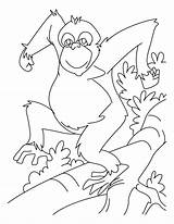 Chimpanzee Coloring Pages Dancing Chimp Printable Bestcoloringpages Visit Getcolorings Kids sketch template