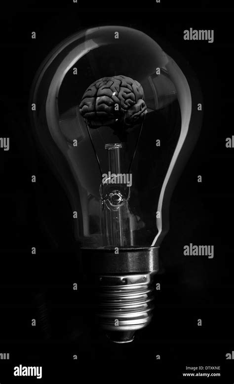 black brain  light bulb stock photo alamy