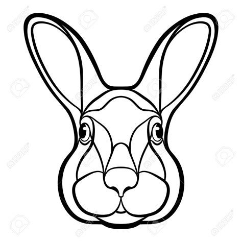 bunny face drawing