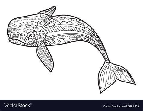 printable whale coloring pages  adults