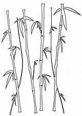 Bamboo Coloring Pages Print sketch template