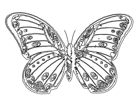 effortfulg  printable butterfly coloring pages