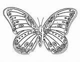 Butterfly Coloring Pages Kids Flowers Pretty Beautiful Monarch Adults Book Drawing Butterflies Printable Color Print Drawings Impressive Awesome Getdrawings Funchap sketch template