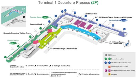 airport terminal layout