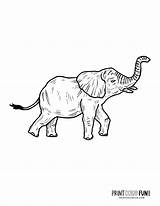 Elephant Printcolorfun sketch template