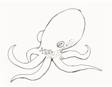 draw  octopus easy drawing tutorial