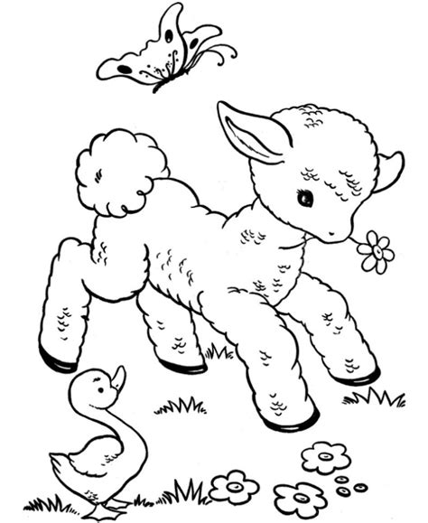 fun sheep coloring pages  coloring