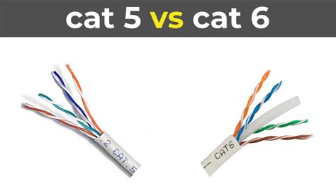 difference  cat  cat electronicshub usa