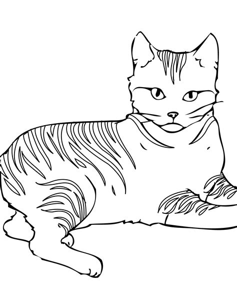wild cats coloring pages coloring home
