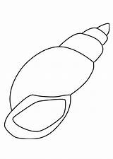 Snail Shell Coloring Printable sketch template