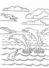 Dolphins Delfini Dolphin Colorare Delphine Ausmalbilder Adron Pianetabambini Coloringpagesbymradron sketch template