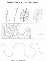 Quilting Feather Practice Zentangle Worksheet Patterns Machine Motion Featheredfibers Wordpress Designs Bezoeken Visit Longarm Pattern Drawing Choose Board Quilt sketch template