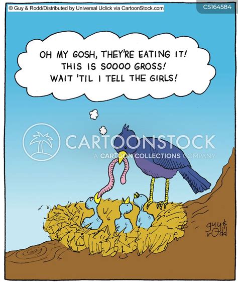 chicks cartoons and comics funny pictures from cartoonstock