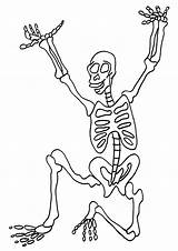 Skeleton Squelette Personnages Coloriage Coloriages Colorier Skeletal Getdrawings Albanysinsanity Ingrahamrobotics sketch template