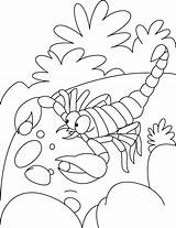 Coloring Scorpion Pages Color Affection Pearl Kids Animals Printable sketch template