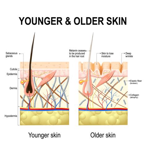 skin aging reform skincare