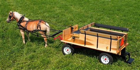 pin  ben bruinius  wagons mini horse cart horse wagon horse cart
