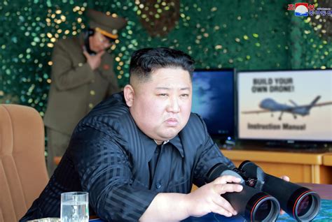 north korean drones  seoul international ops  opsgroup