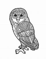 Hedwig Sheets Twu sketch template