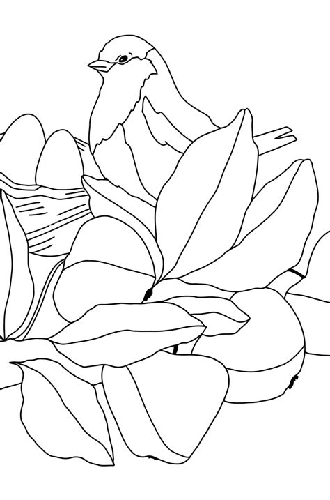 printable nature coloring pages  kids coolbkids easy coloring