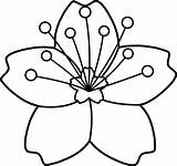 Outline Flower Clipart Line Flowers Clip Library Blossom Cherry sketch template