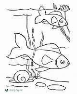 Coloring Fish Pages Pet Printables Pond Kids Sheets Printable Color Drawing Pets Print Popular Activity Comments Honkingdonkey Ocean Help Printing sketch template