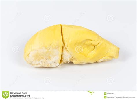 durian  white background stock photo image