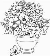 Coloring Pages Flower Adults Cool Popular sketch template