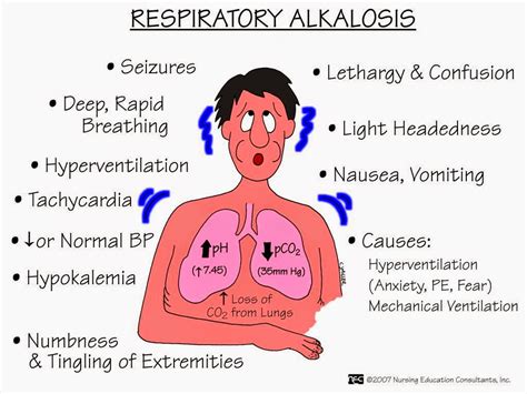 dpt in nyc respiratory metabolic acidosis and alkalosis ask the rn