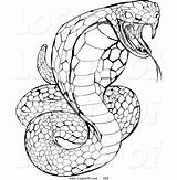 Cobra Coloring King Snake Pages Drawing Venomous Clipart Venom Striking Color Paintingvalley sketch template