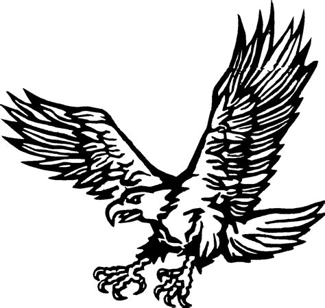 drawings eagle animals page  printable coloring pages