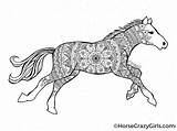 Horse Coloring Pages Printable Horses Color Print Printables Adults Pdf Gorgeous Computer Kids Realistic Horsecrazygirls Open  Just sketch template