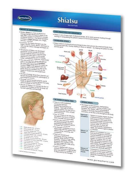shiatsu holistic health quick reference guide shiatsu holistic