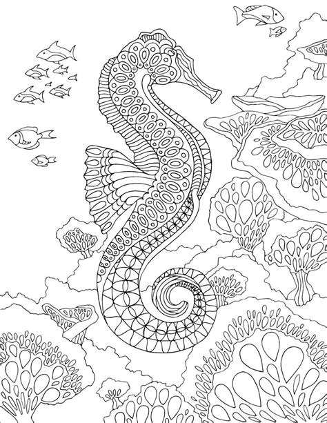 seahorse coloring pages coloringbay