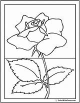 Rose Coloring Pages Realistic Printable Stem Sheet Pdf Colorwithfuzzy Printables Kids sketch template