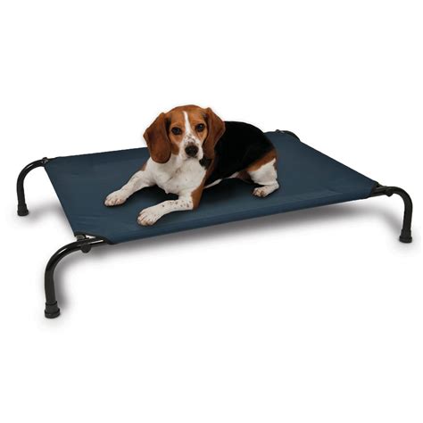 aspen pet elevated dog bed wayfair