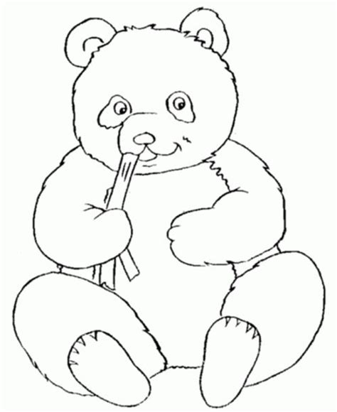 panda bear printable coloring pages panda coloring pages bear