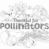 Coloring Pollinator Sheet Pollinators Tag Thanksgiving Thanks Give Chicagobotanic sketch template