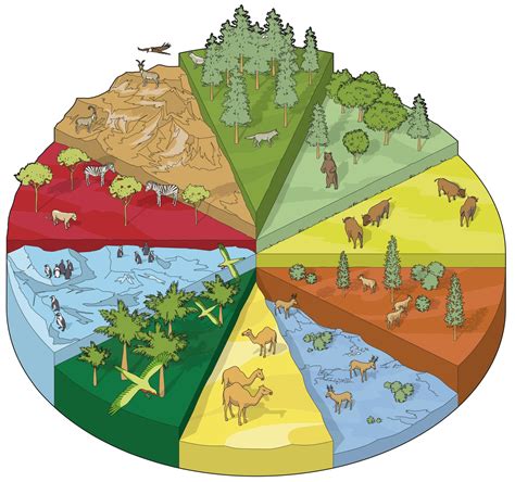 land habitats  habitat types dk find