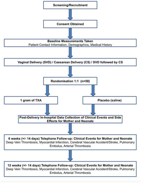 Protocol For A Pilot Randomised Double Blinded Placebo Controlled