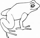 Frog Coloring Pages Printable sketch template