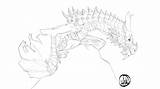 Skyrim Dragon Paarthurnax Scrolls sketch template