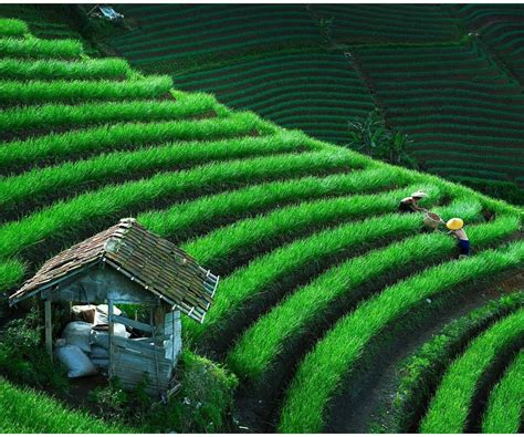 Pemandangan Tempat Wisata Pedesaan Tempat Wisata Indonesia