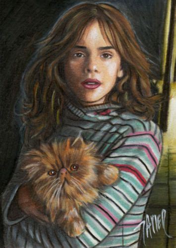 harry potter hermione granger emma watson cat crookshanks