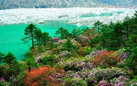 north east india holiday and tour and travel packages