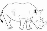 Animais Rinocerontes sketch template