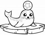 Seal Coloring Baby Ice Pages Floe Printable Harp Seals Print Cute Mother Cartoon Animals sketch template
