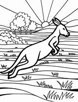 Australia Coloring Pages Print sketch template
