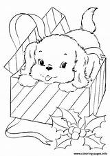 Puppy Coloring Pages Christmas Printable Gift Cute Pup Sheets Coming Print Kids Colouring Present Cartoon Dog Color Colour Prints Book sketch template
